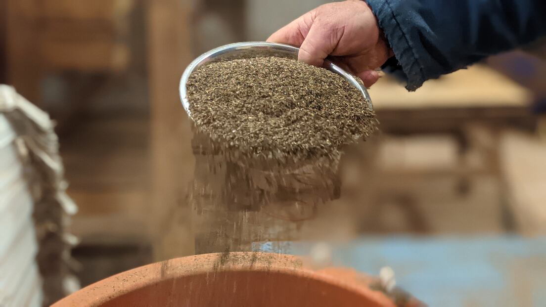 Finished seaweed blend being poured from a scoop